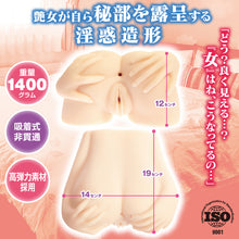 Lade das Bild in den Galerie-Viewer, MACCOS "Inwaku-Adeno" 1400g Doggy Style Doppelloch Onahole/ Japanischer Masturbator