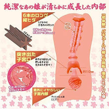 Lade das Bild in den Galerie-Viewer, Toysheart Tight Innocent Pussy Evolution – Japanischer Masturbator