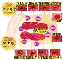Lade das Bild in den Galerie-Viewer, NPG Rika Mari Mini Gokujo Namagoshi Ultimative Hüfte – Japanischer Masturbator