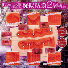 Lade das Bild in den Galerie-Viewer, MACCOS Inwaku Labyrinth 3800g – Japanischer Masturbator 3800 g