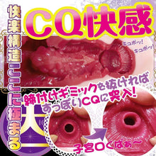 Lade das Bild in den Galerie-Viewer, Ride Japan Tenka Ikketsu – Japanischer Masturbator