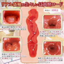 Lade das Bild in den Galerie-Viewer, MACCOS Shangri-La Mädchen ~ Schwester Nebenan Ist Utopie – Japanischer Masturbator