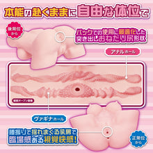 Lade das Bild in den Galerie-Viewer, MACCOS "Pure and pretty" Real Figure Molding Onahole / Japanischer Masturbator