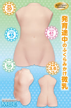 Charger l&#39;image dans la galerie, MACCOS &quot;ViViDoll 01 MOE&quot; Onahole Petits Seins Forme de Corps Mignonne 4kg / Masturbateur Japonais
